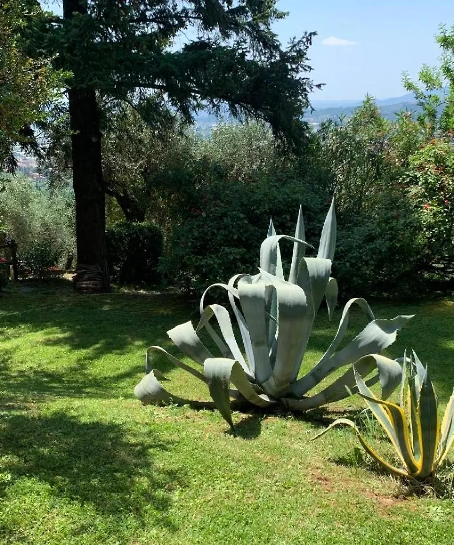 Villa La Casa sui Colli Uzzano